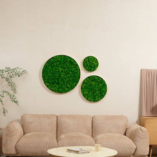 Round-framed Moss Wall Hangings, Hanging Planter